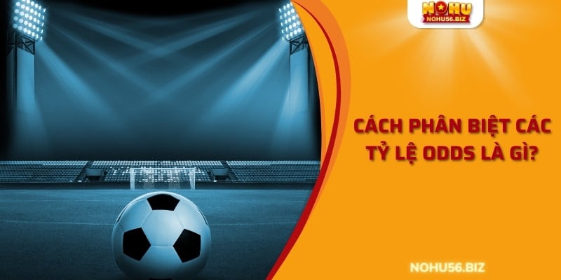 Cách phân biệt các tỷ lệ Odds là gì?