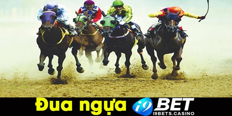 Đua ngựa được yêu thích trên thể thao I9bet